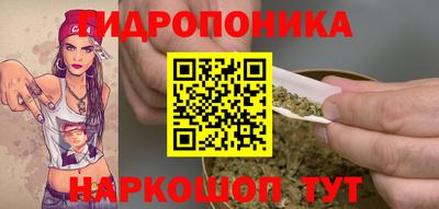МДПВ Партизанск